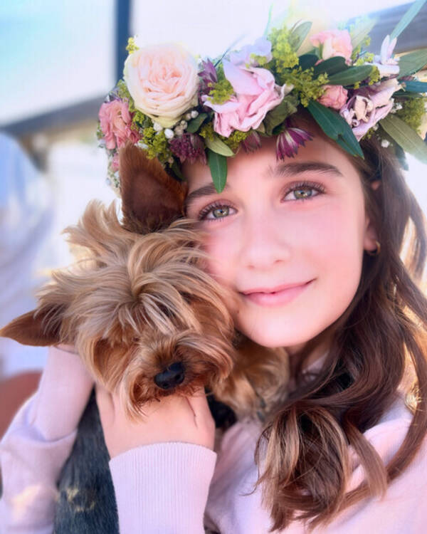 Hund - Yorkshireterrier 