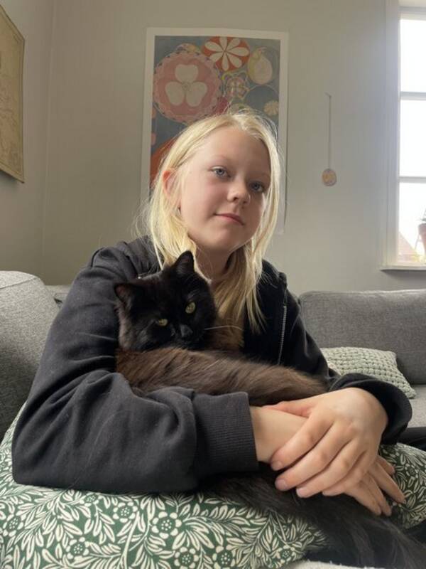 Katt - Katten Torsten