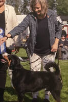 Appenzeller Buster