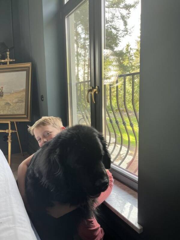 Hund - Newfoundlands hund Hund - Newfoundlands hund