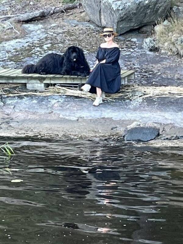 Hund - Newfoundlands hund Hund - Newfoundlands hund