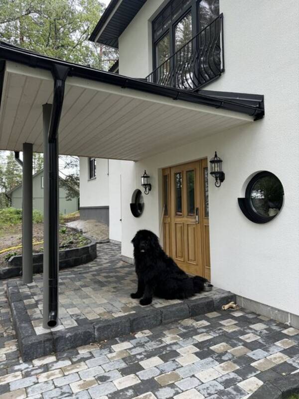 Hund - Newfoundlandshund  Hund - Newfoundlandshund