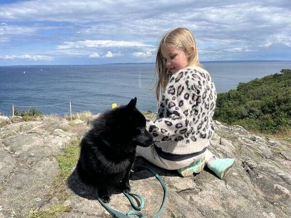 Hund - Schipperken Lo