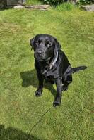 Kaizer - 2.5 år Kaizer - 2.5 år