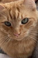 Roshy pus <3 Roshy pus <3