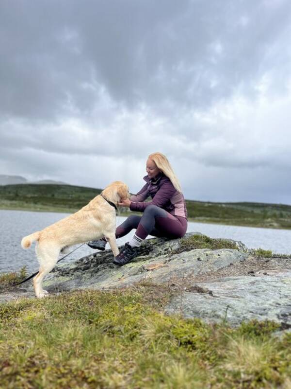 Hund - Labrador Cash