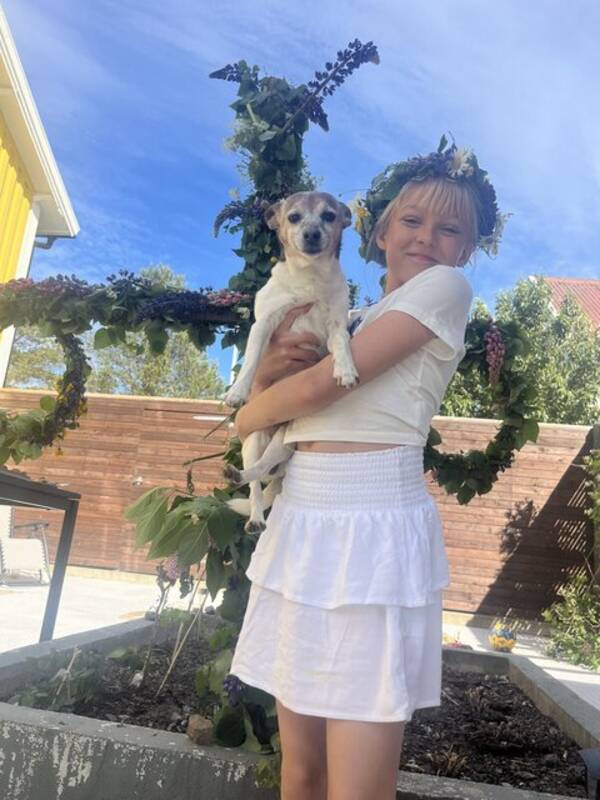 Hund - Blandrasen Peps 