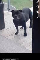 Eng staff ninja Eng staff ninja