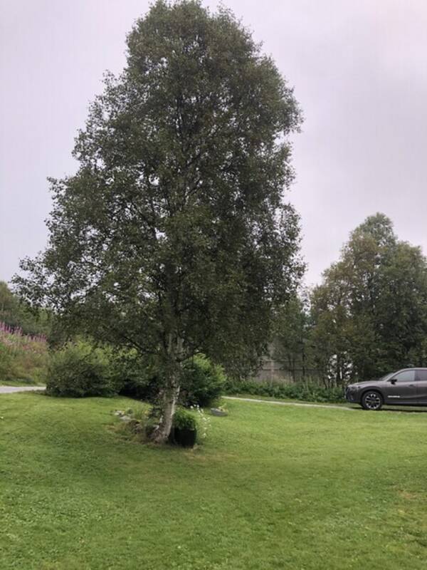 Kjøretøy - Mazda cx5 Kjøretøy - Mazda cx5