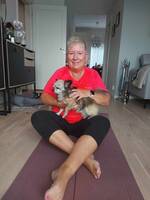 Blanding chihuahua  Blanding chihuahua