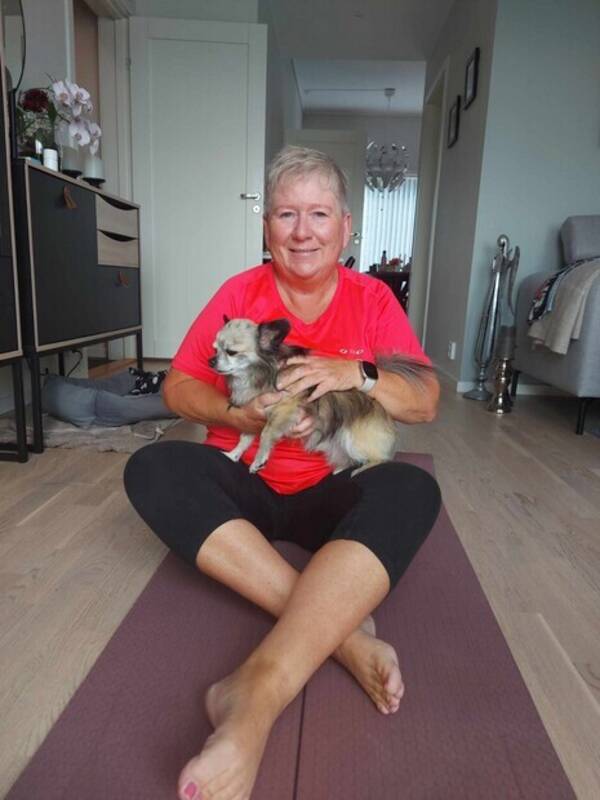 Hund - Blanding chihuahua  Hund - Blanding chihuahua