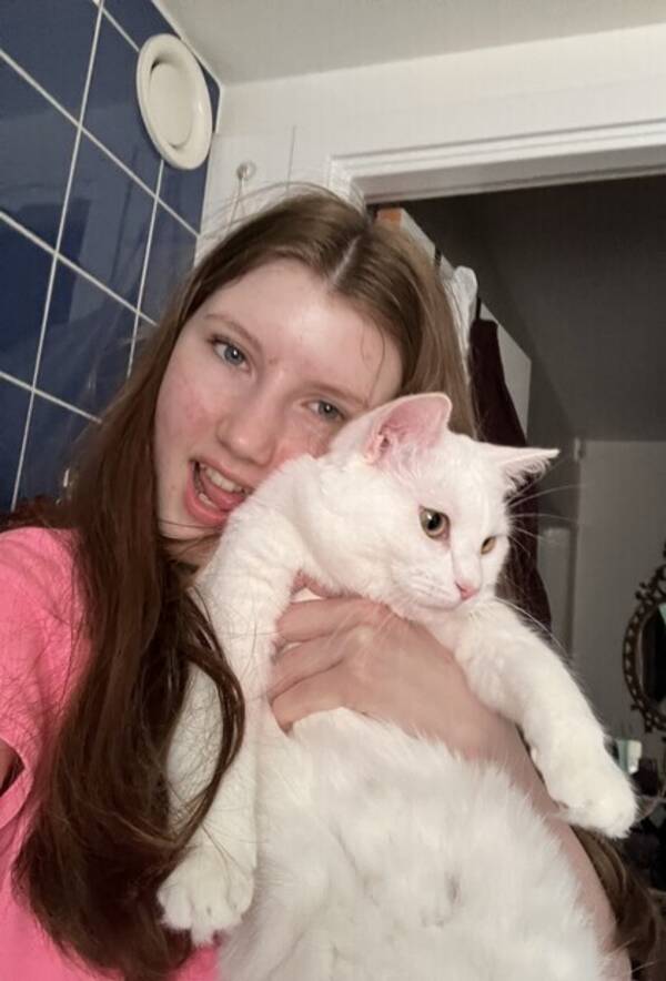 Katt - Katten Santiago