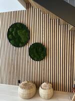 Tomannsbolig  Tomannsbolig