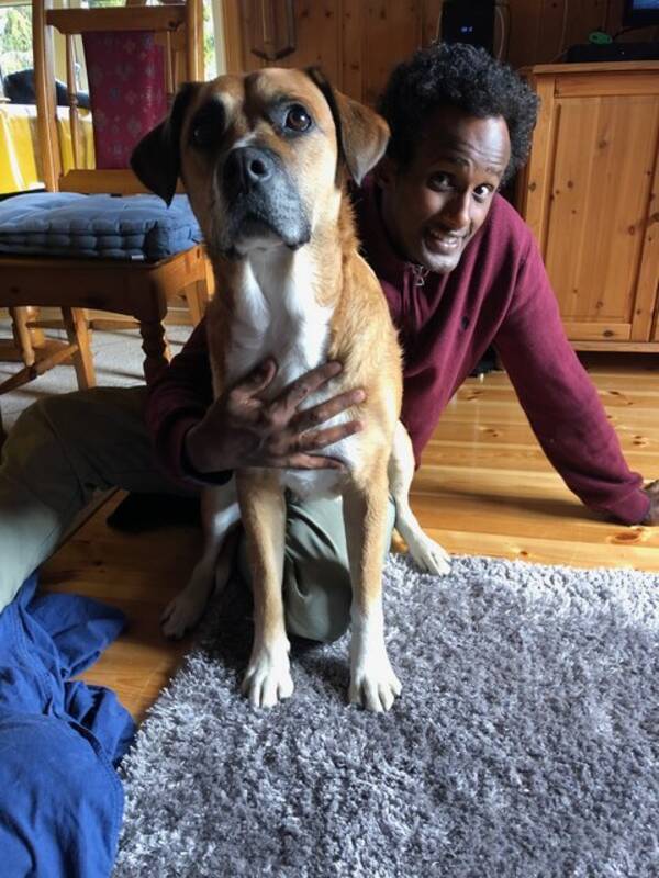 Hund - Blandingshund