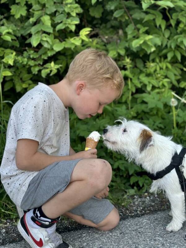 Hund - Jack Russell Terrier ved navn Chips