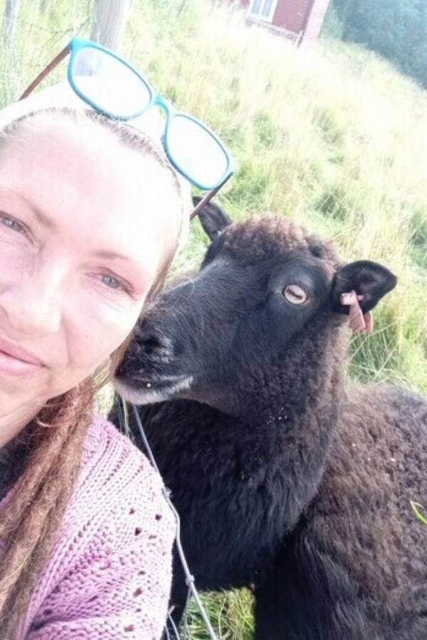 Annet - Sauen Sol. Annet - Sauen Sol.