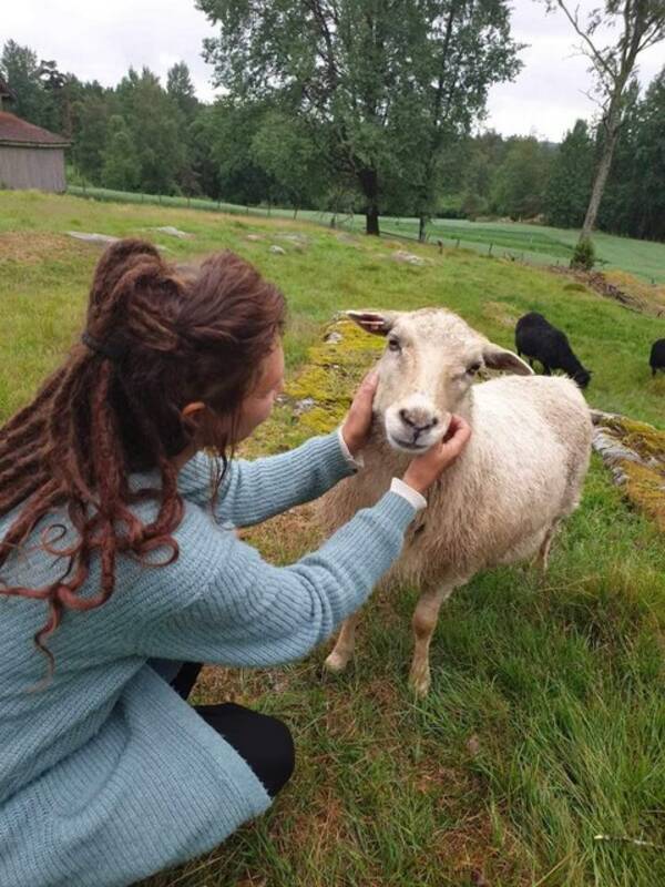 Annet - Sauen Sol. Annet - Sauen Sol.