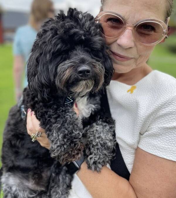 Hund - Maltipoo Chaplin 