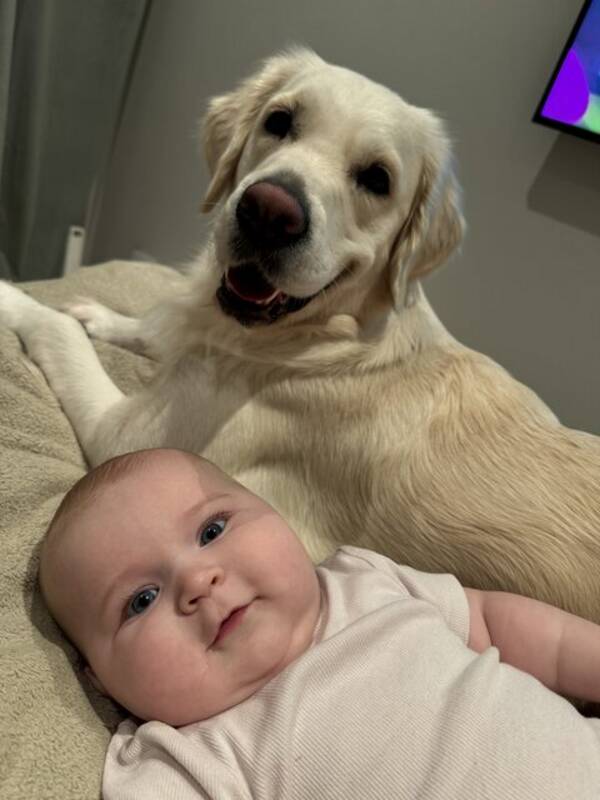 Hund - Love ??