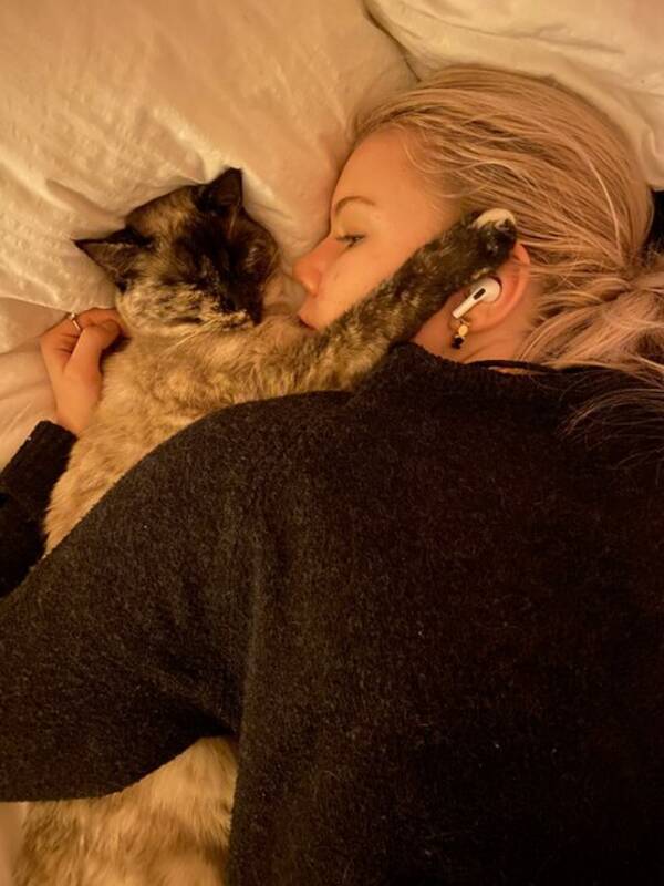 Katt - Katten Rut 