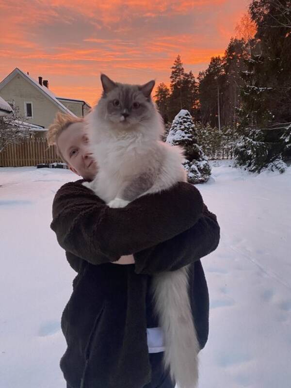 Katt - Katten Sune