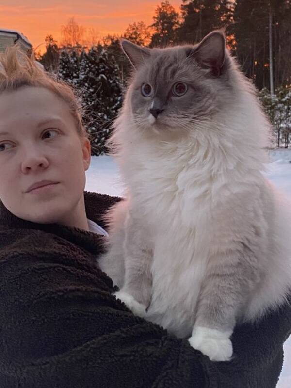 Katt - Katten Sune