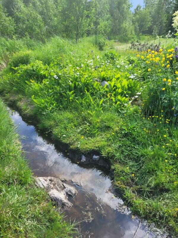 Sommarstuga - Stuga i Högbo Sommarstuga - Stuga i Högbo