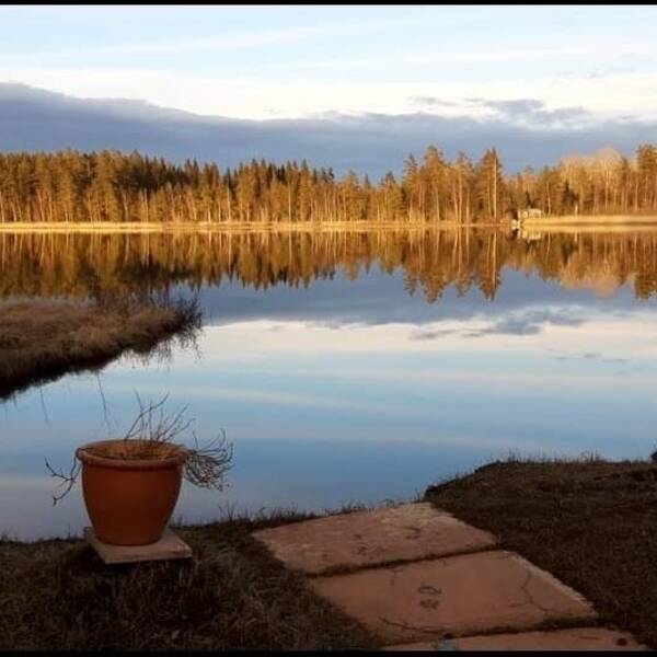 Sommarstuga - Stuga i Högbo Sommarstuga - Stuga i Högbo