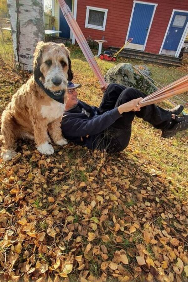 Hund - Blandrashunden Roffe