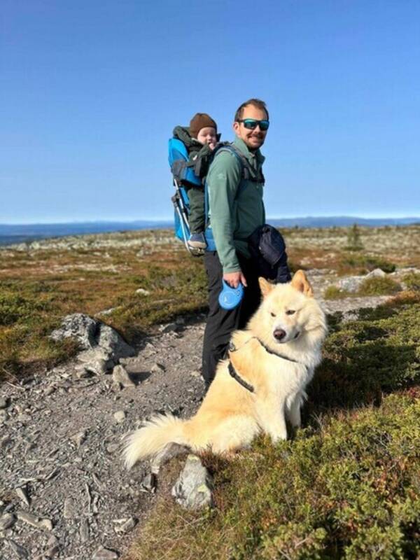 Hund - Alaska Malamute, Baldur