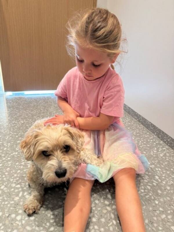 Hund - Albert Hund - Albert