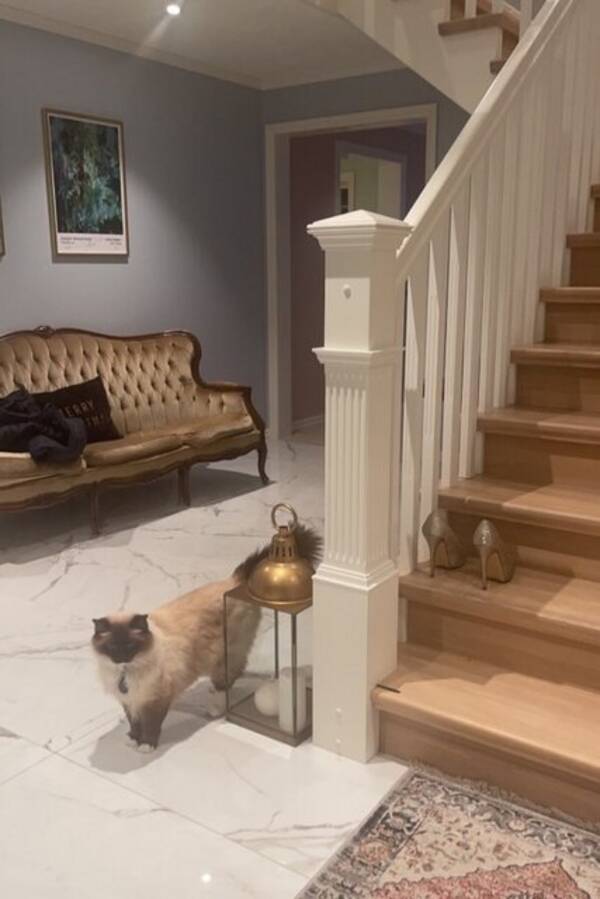 Hus - Inne i huset Hus - Inne i huset