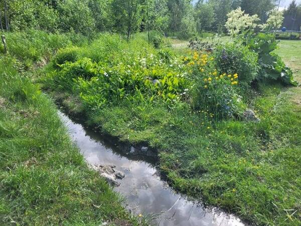 Sommarstuga - Stuga i Högbo Sommarstuga - Stuga i Högbo