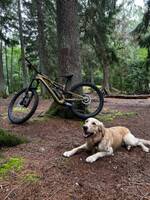 Mountain bike  Mountain bike