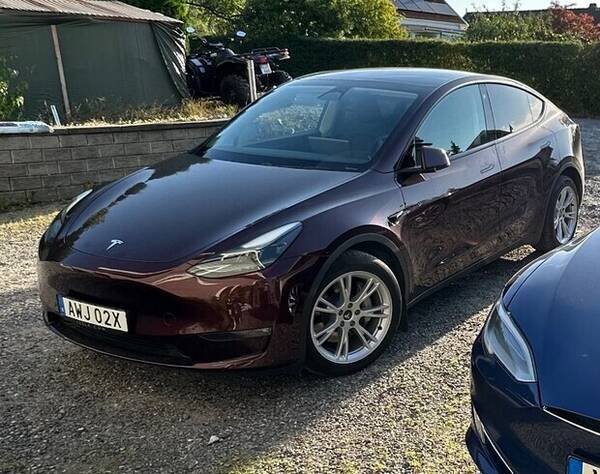 Fordon - Tesla model y