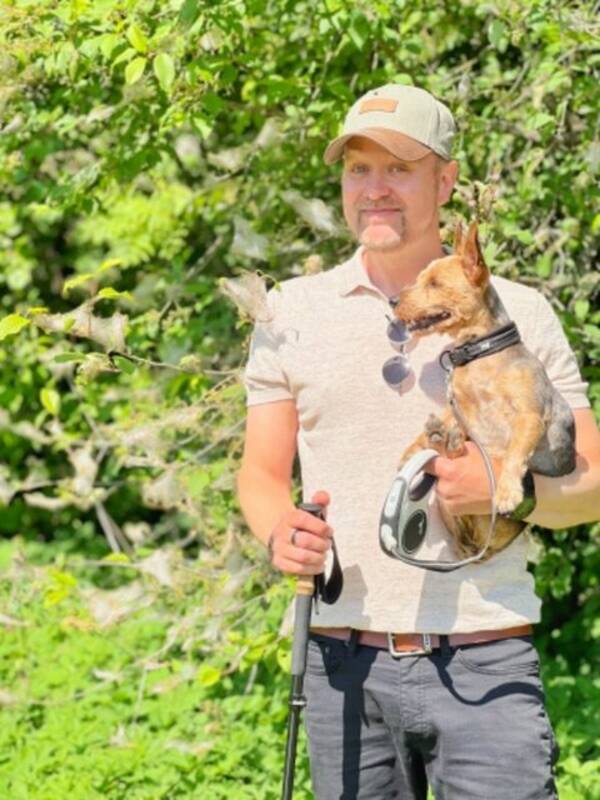 Hund - Yorkshire Terrier Hund - Yorkshire Terrier