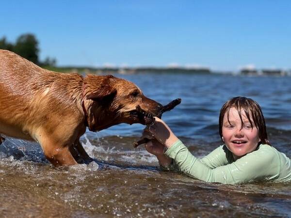 Hund - Lydig och lugn Kessu