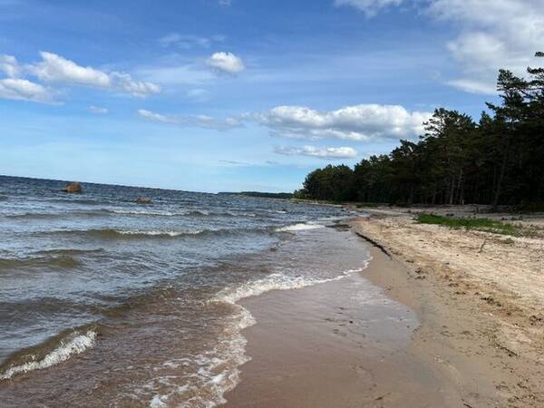 Hus - Gammal grd i Estland 