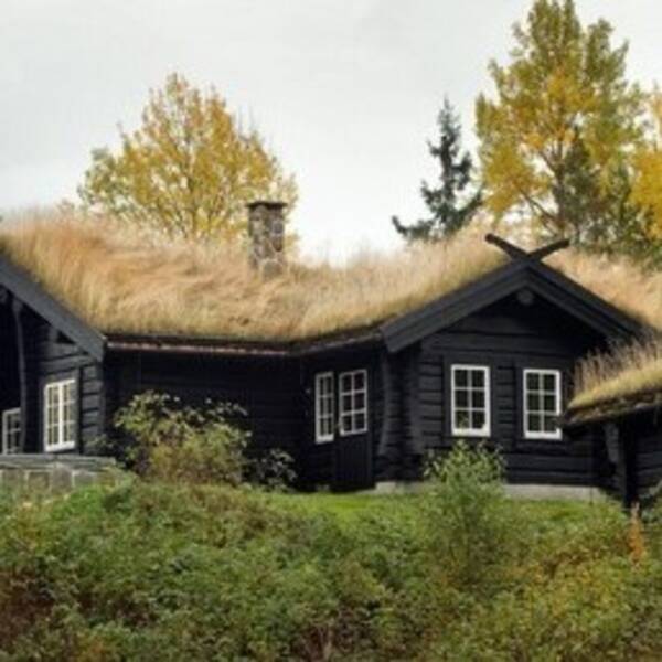 Hytte - hytte i vannkanten ved Gulsviktjernet.  Hytte - hytte i vannkanten ved Gulsviktjernet.