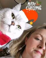 Katten Loke Katten Loke