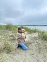 Australian Cobberdog Australian Cobberdog