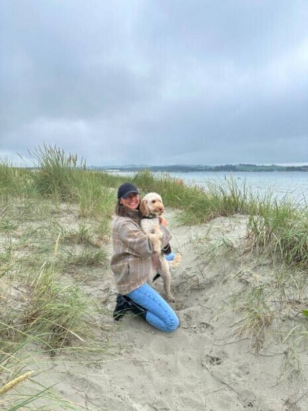 Hund - Australian Cobberdog Hund - Australian Cobberdog