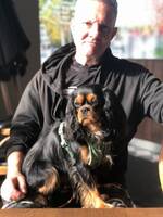 Cavalier K C S tiken Mila Cavalier K C S tiken Mila