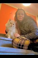 Sötaste Ragdoll Sötaste Ragdoll