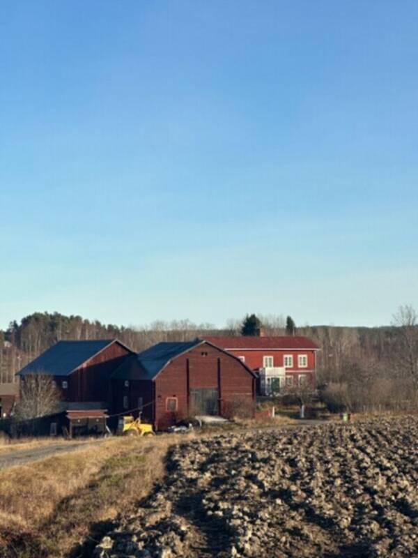 Hus - Renoverad hlsingegrd utanfr Bollns