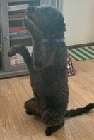 Nelly skal ikke bli med i et opptak Nelly skal ikke bli med i et opptak