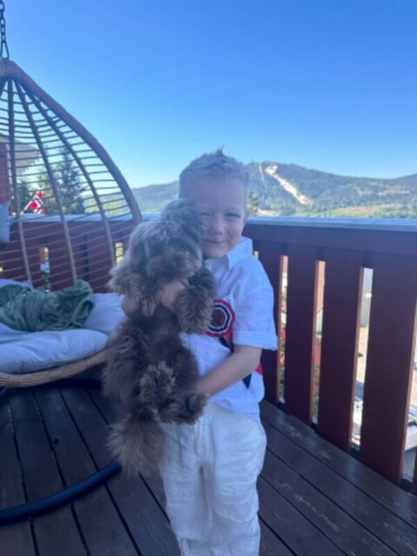 Hund - Theodor- spitzpoo  Hund - Theodor- spitzpoo