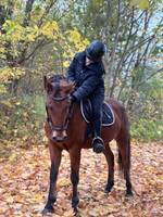 Ponnyn, Fonzie Ponnyn, Fonzie