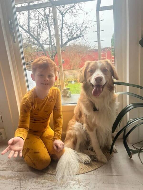 Hund - Junior Hund - Junior