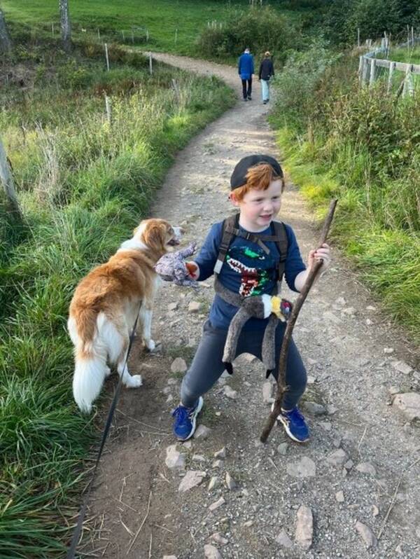 Hund - Junior Hund - Junior